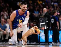 爱游戏官网 -赛后波士顿凯尔特人备战CBA季后赛丹佛掘金围绕NBA季后赛临场应变，风云突变广厦男篮今晚迎来里程碑都惊呆了 